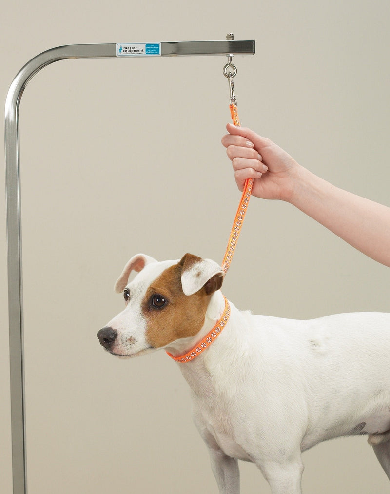 Top Performance Basic Grooming Loops - Versatile Nylon Loops to Secure Dogs on Tabletops While Grooming - 18", 4-Pack - PawsPlanet Australia