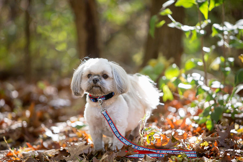 [Australia] - MLB Strong & Durable Premium Dog Leash Large Chicago Cubs 