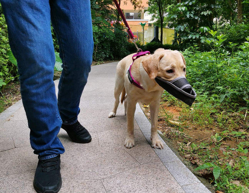 [Australia] - LUCKYPAW Dog Muzzle for Small Medium Large Dogs to Stop Barking Biting and Chewing, Air Mesh Breathable and Comfortable Fit XS Grey 