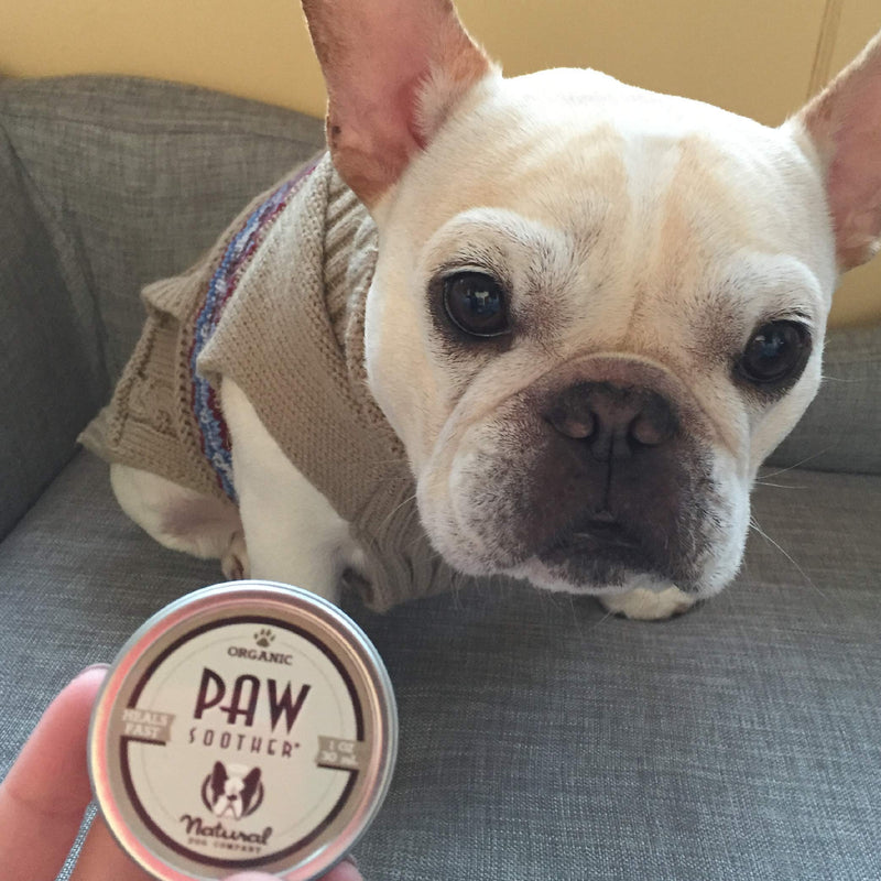 [Australia] - Natural Dog Company - Paw Soother - Heals Dry, Cracked, Irritated Dog Paw Pads - Organic, All-Natural Ingredients, Easy to Apply 1 OZ 