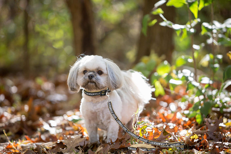 [Australia] - Pets First NFL Sports Dog Pet Leash, Available in Various Teams and Sizes Jacksonville Jaguars Medium 