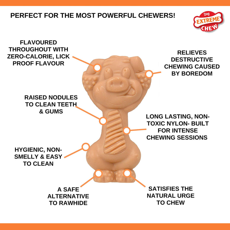 Nylabone Extreme Tough Dog Chew Toy Novelty Pig, Durable, Cleans Teeth, Bacon Flavour, Small, for Dogs Up to 11 kg May Vary - PawsPlanet Australia