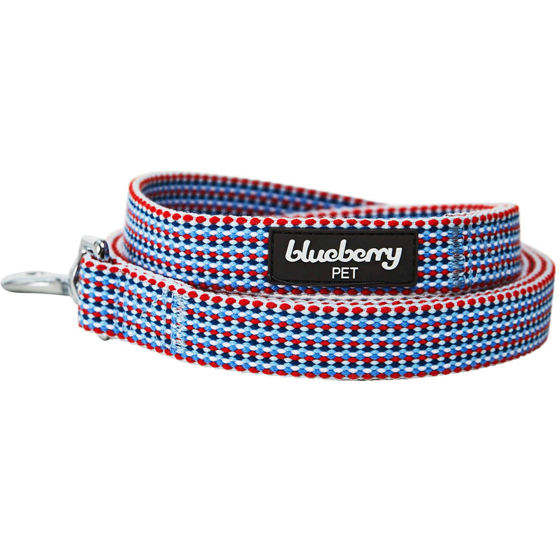 Blueberry Pet 2021 New Southwestern Tribal Diamonds/Multicolor Braids Dog Leash 4' * 1" Multicolor Braids - PawsPlanet Australia