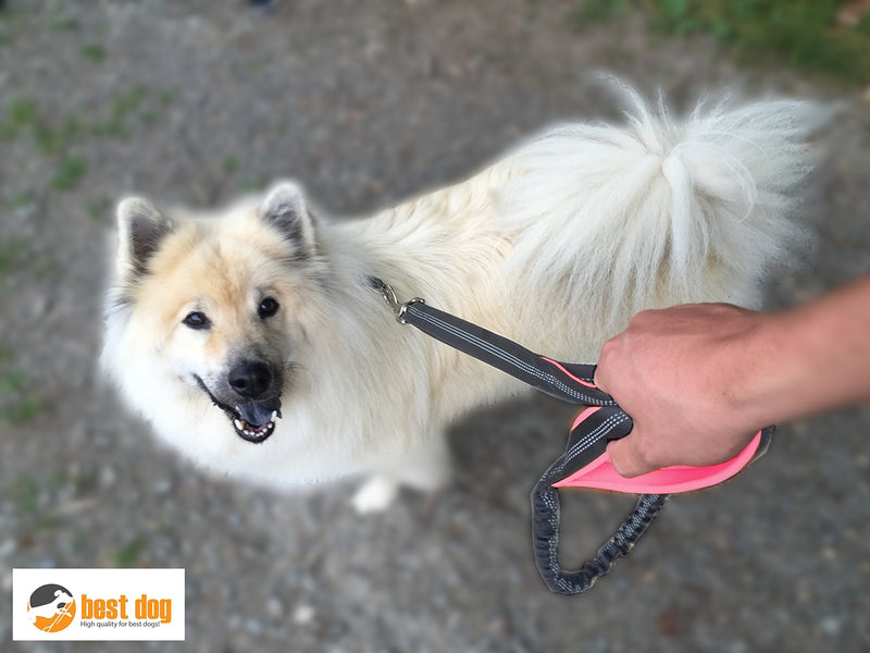 best dog Premium dog leash for large dogs (pink-grey) pink-grey - PawsPlanet Australia