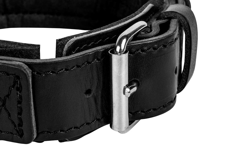 DINGO GEAR Leather Collar for Dog, Amortized, Black, with a Handle, Handmade Drago S04021, 48 - 56 cm - PawsPlanet Australia