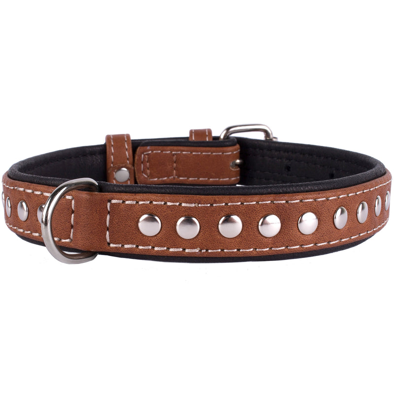 [Australia] - CollarDirect Studded Dog Collar Leather Pet Collars for Dogs Small Medium Large Puppy Soft Padded Brown Black Neck fit 13" - 14" 