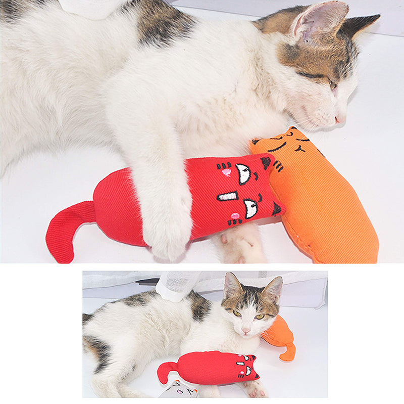 YAVO-EU 4 Pack Catnip Toy Cat Toys Chew Toy Teeth Cleaning, 4 color - PawsPlanet Australia