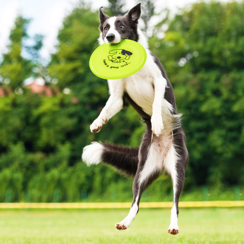 Pet Mania - Dog Agility Training Tunnel with Storage Bag, Pegs & Frisbees - PawsPlanet Australia