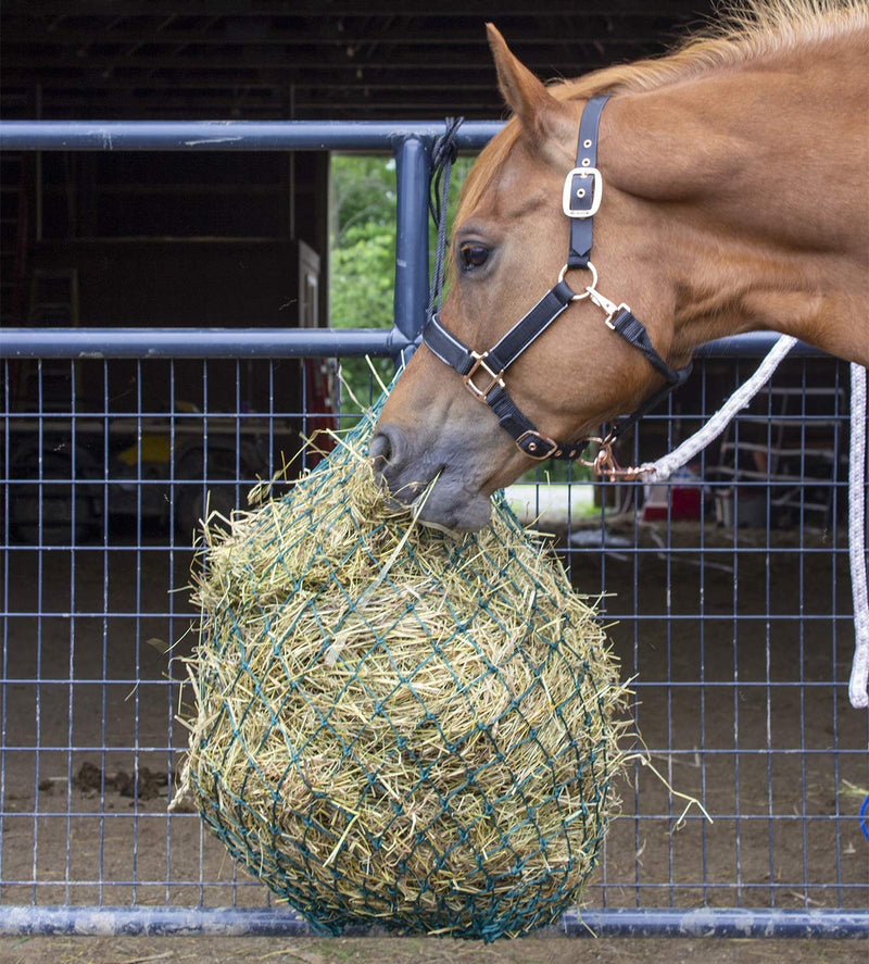 [Australia] - Derby Originals Slow Feed Poly Rope Hanging Hay Net Black 