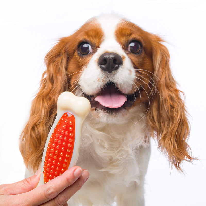 Hartz Chew ‘n Clean Tuff Bone Dog Chew Toy, Bacon Scented Chew Toy for Tough Chewers, Color & Toy Size Varies 1 Count multi - PawsPlanet Australia