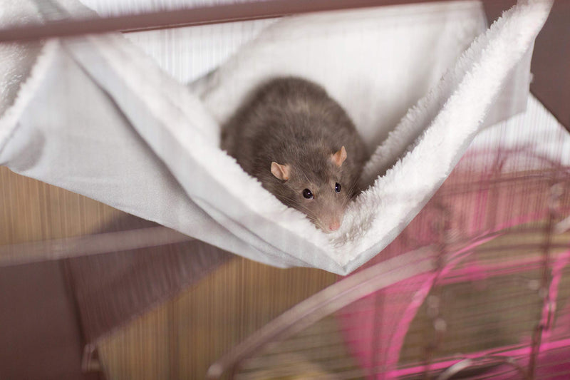 Prevue Pet Products Replacement Hammock for 7500 & 7501 cat Cages, Grey - PawsPlanet Australia
