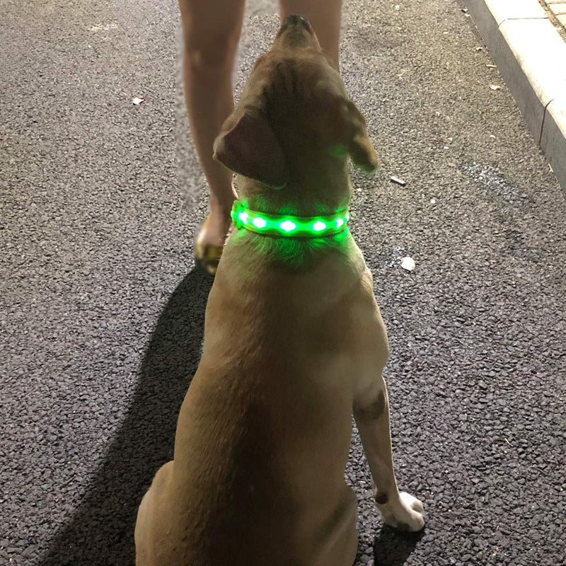 HOLDALL Led Flashing Dog Collar Light, Free Cut USB Rechargeable Lighting Up Collars Make Dogs Pets Safe from Danger at Night. - PawsPlanet Australia