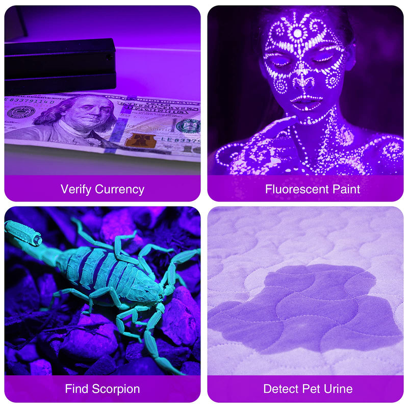 Black Light Flashlight, SEVENKA 2 Pack 12 LED UV Blacklight Flashlight, 395nm Handheld Mini Torch Light, Professional Urine Detector for Dog Pet Urine Stains, Bed Bugs and Scorpions. 2 Pack Black Light - PawsPlanet Australia