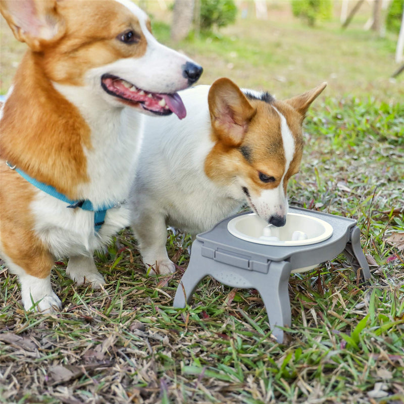 [Australia] - RoyalCare Elevated Pet Bowl Stand for Dogs with Slow Feeder Bowl Premium Foldable Stand Dog Food Water Feeding Bowl, Detachable Anti-Slip Mats Non Skidding No Spill for Indoor & Outdoor one bowl 