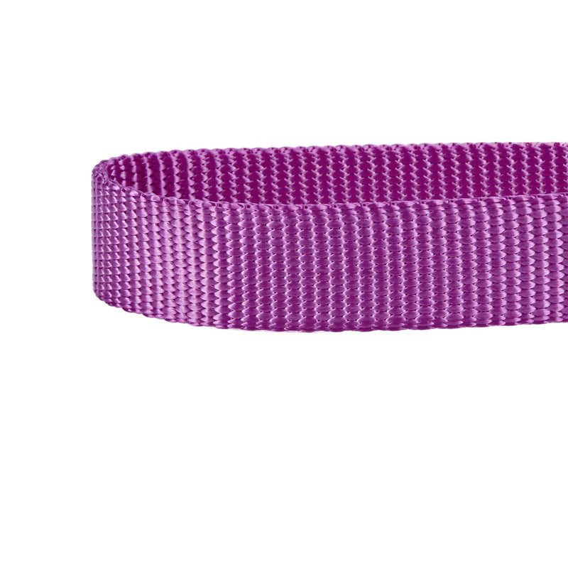 Blueberry Pet Essentials 21 Colors Classic Dog Collar, Violet, X-Small, Neck 8"-11", Collars for Dogs Regular Collar - X-Small M Color: Violet - PawsPlanet Australia
