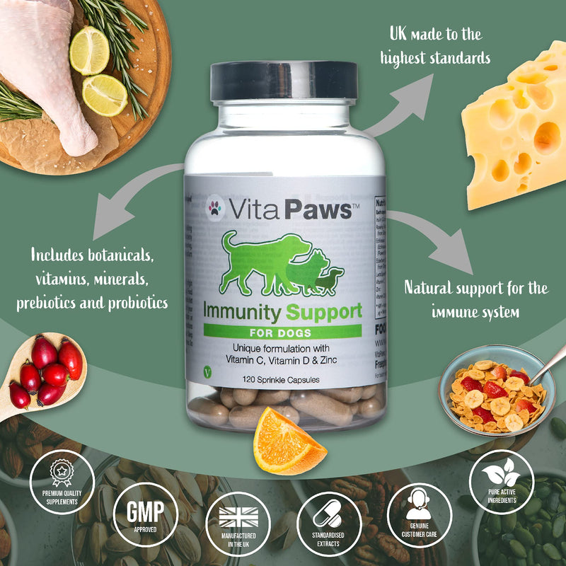 Immune Support Supplement for Dogs | Vitamin C, D & Zinc | Chicken Flavour | 120 Capsules = Up to 4 Month Supply - PawsPlanet Australia