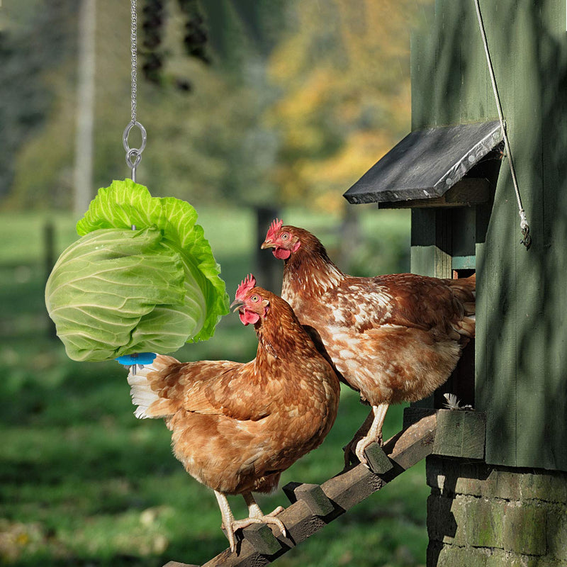 [Australia] - HYLYUN Hanging Feeder Toy, Chicken Fruit Feeder for Hens Chicken Large Birds Pet, 2 PCS 