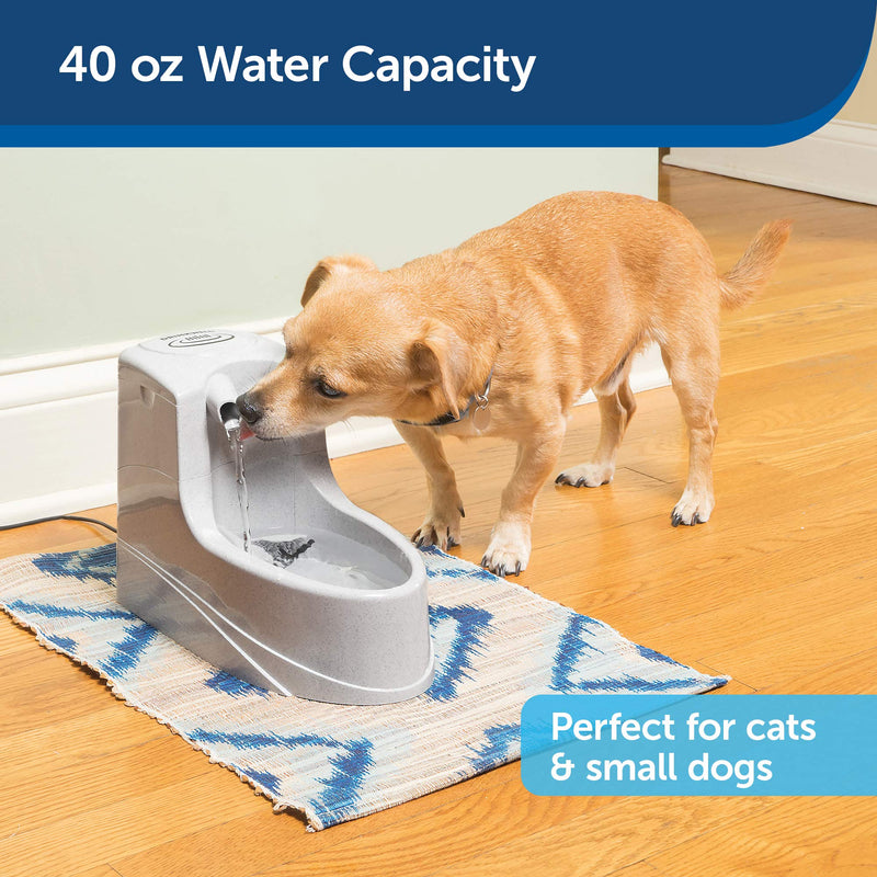 [Australia] - PetSafe Drinkwell Mini Pet Fountain for Cats and Small Dogs – Filtered Water – Filter Included, PWW00-14402 