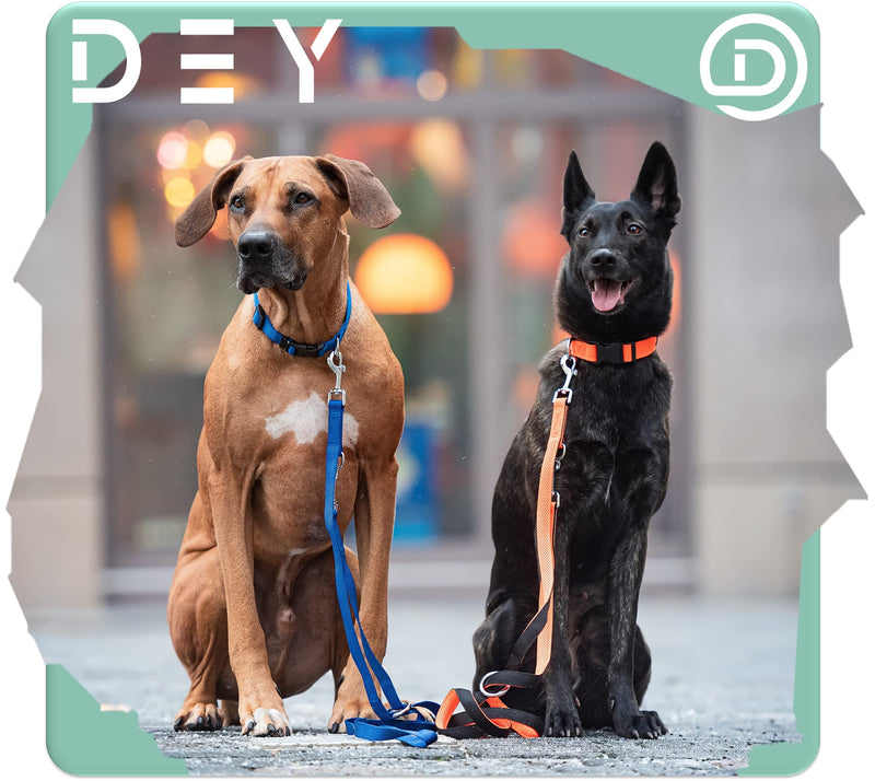 DEY - Premium dog leash air mesh, 2 m, 3-way adjustable, for small, medium and large dogs, many colors, double leash dog cat puppy, towing leash, lead leash, puppy leash, red, S [S/M] - 2.0 x 200cm - PawsPlanet Australia