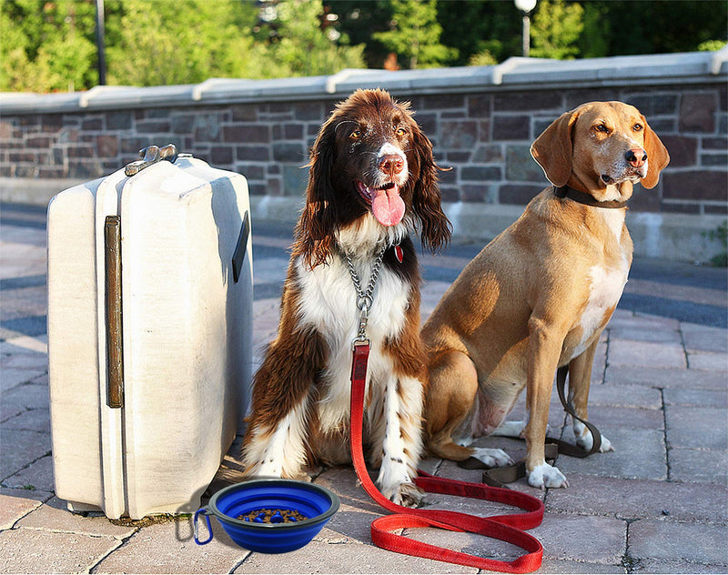 Dog Bowl Slow Feeder, Non Skid Anti-Choking Bowl, Pet Slow Bowl for Small Medium Dogs and Cats - PawsPlanet Australia