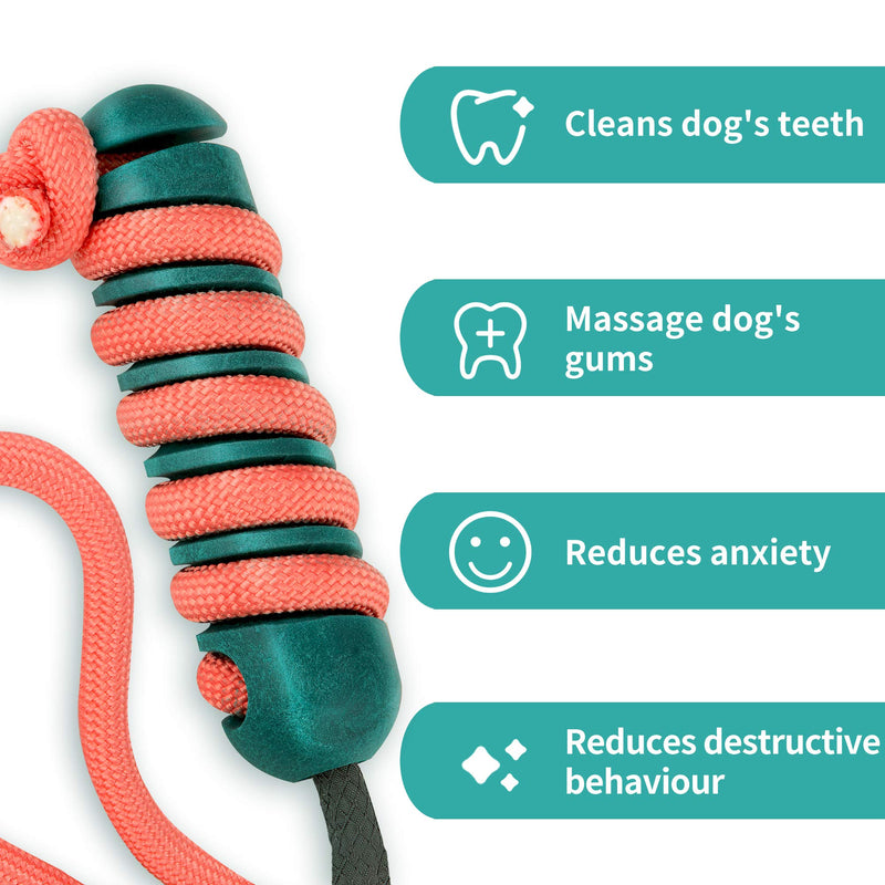 NWK 3 in 1 Floatable Chew Fetch Tug Interactive Teething Dog Rope Toys, for Medium Large Breed - PawsPlanet Australia