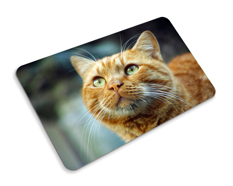 Beenanas Pet Dog Cat Memorial Metal Silver Plaque Rabbit Hamster Custom 3 X 6 Inches & Fridge Magnet Keepsake Set - PawsPlanet Australia