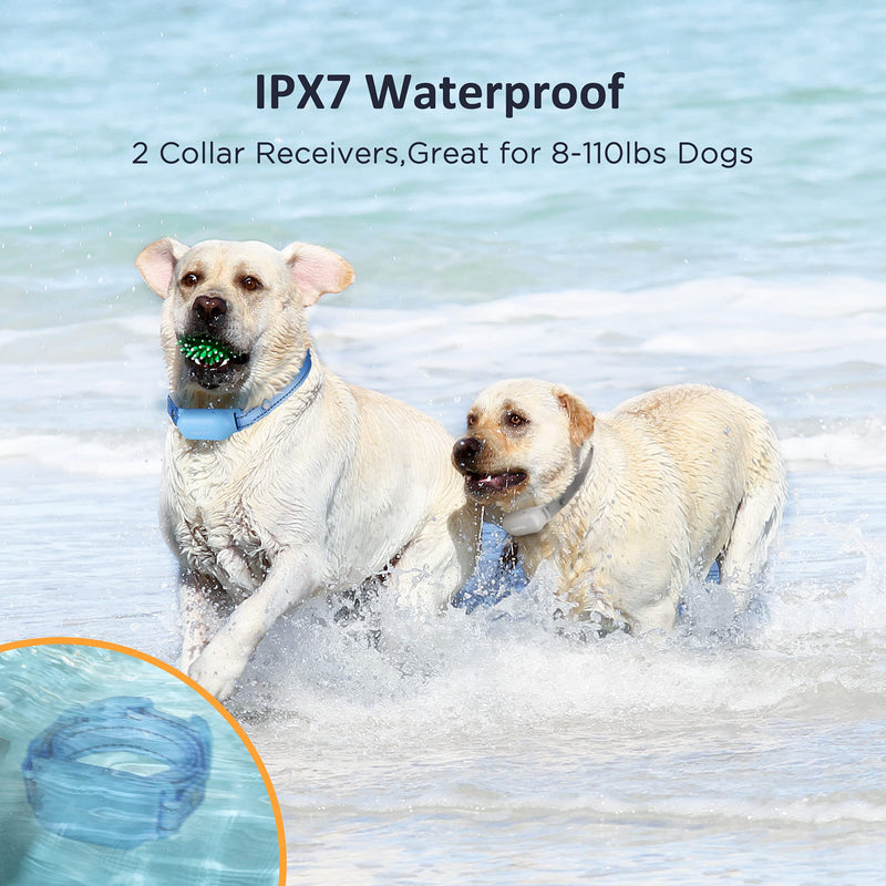 PATPET Dog Training Collar with Remote, Rechargeable IPX7 Waterproof 2 Packs Dog Shock Collar for 8 to 90 lbs Small Medium Large 2 Dogs Blue - PawsPlanet Australia
