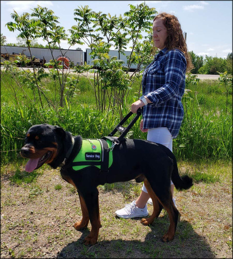 [Australia] - ActiveDogs Nylon Clip-on Bridge Handle 12" Black for Service Dog Vest & Harnesses, Heavy Duty Metal Clips w/removable Service Dog ID Band 