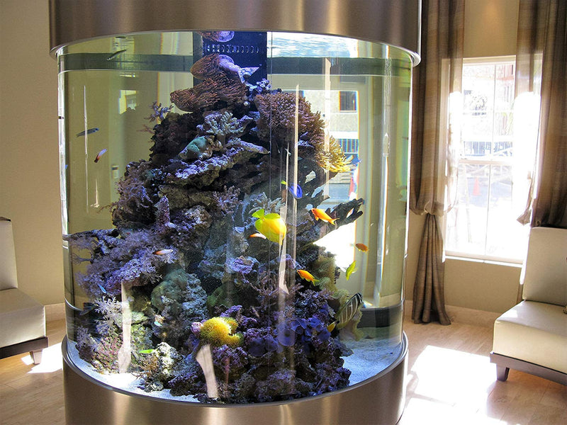 [Australia] - Kolar Labs - LANXESS DI Color Changing Deionization Resin – for Fish Tanks, Ponds & Aquariums, Reef Aquarium Grade Full Canister 
