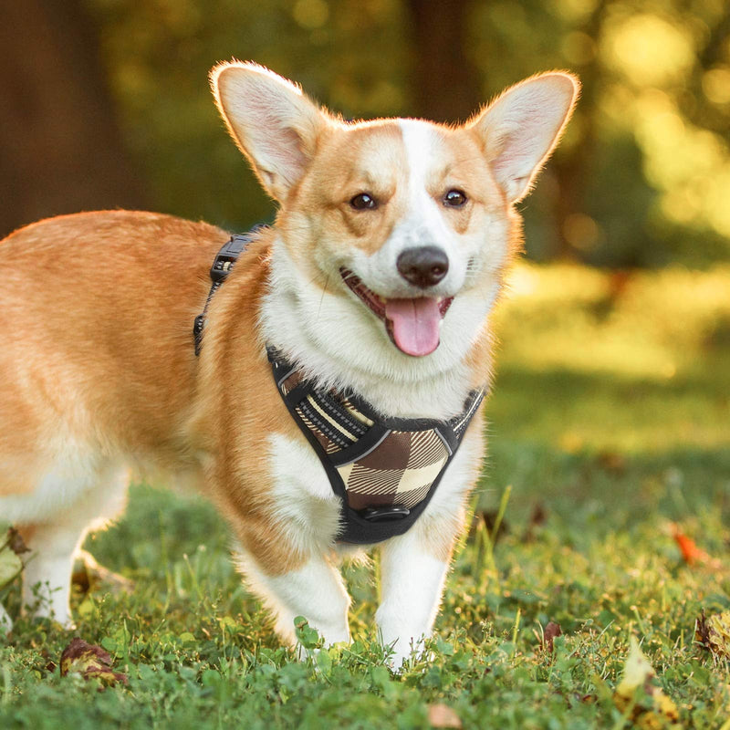 rabbitgoo Dog Harness No Pull, Adjustable Dog Walking Chest Harness with 2 Leash Clips, Comfort Padded Dog Vest Harness with Easy Handle, Reflective Front Body Harness for Small Breeds, Beige Plaid, S Buffalo Plaid (Beige & Brown) - PawsPlanet Australia