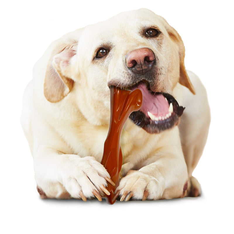 Nylabone Power Chew XL Dog Chew Toys for Aggressive Chewers Beef Bison Bone Alternative - PawsPlanet Australia