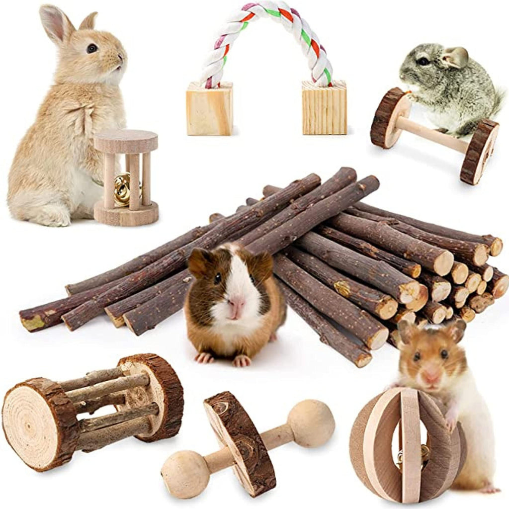 JanYoo Hamster toy, 7-piece guinea pig toy made of wood, apple wood, lamella ball set, dumbbells for rabbits, mice, chinchillas, small animals - PawsPlanet Australia