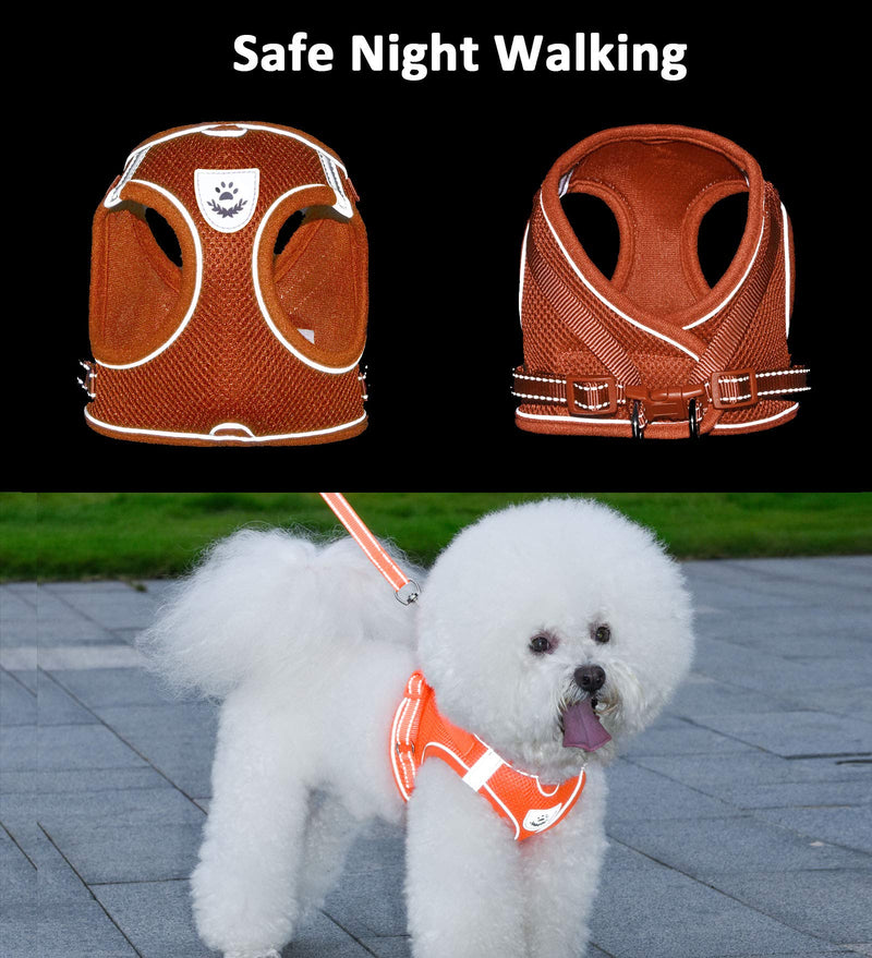 [Australia] - LUCKYPAW Dog Harness and Leash Set for Walking, Escape Proof Vest Harness with Soft Mesh, Adjustable Velcro, Reflective Strips for Kitten Cats and Puppy Dogs XS Orange 