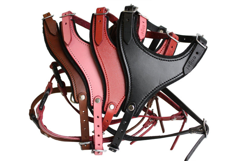[Australia] - Leather Dog Harness, Felt Padded, Small, Pink, Argentinean Leather (Malibu) For Small breeds. Neck sizes: 7"-14".Chest sizes: 17"-21" 