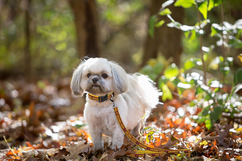 [Australia] - Pets First Collegiate Pet Accessories, Dog Leash, Arizona State Sun Devils, Medium 