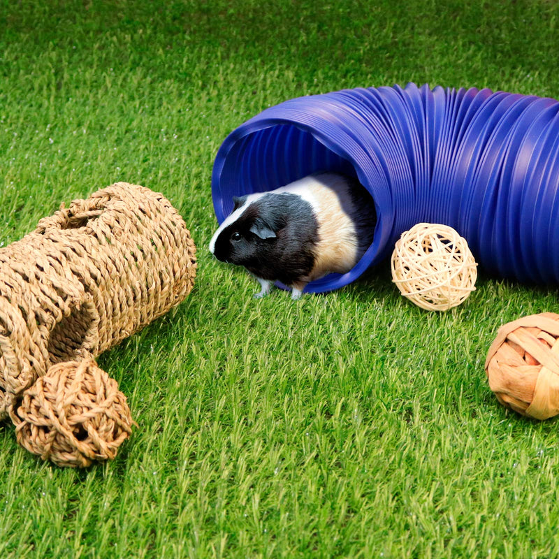 Bac-kitchen 2 Pack Small Animal Play Tunnel,Play Tunnel & Seagrass Tunnel & 3Pack Grass Balls,Collapsible Plastic Tube and Multiple Entrances Grass Tunnel Perfect for Hamsters,Chinchillas,Rats Blue-M+Grass - PawsPlanet Australia