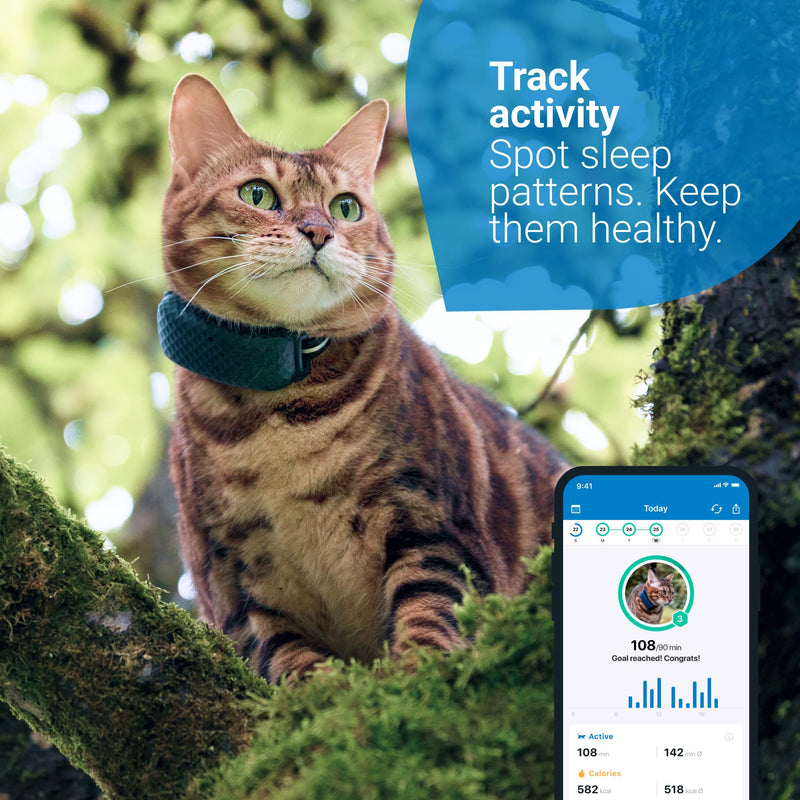 Tractive GPS CAT 4 (2022). Cat tracker. Follow every step in real-time. Unlimited Range. Activity Monitoring (w/ midnight blue collar attachment) - PawsPlanet Australia