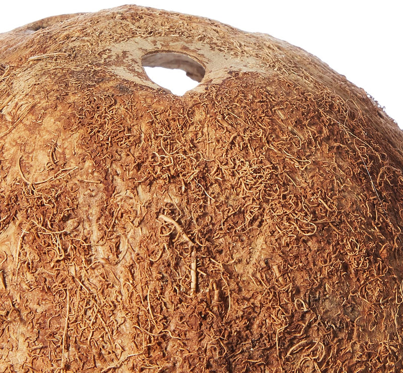 Trixie Three Coconut Hideaway Home, 10 x 12 x 8 cm, Pack of 3 - PawsPlanet Australia