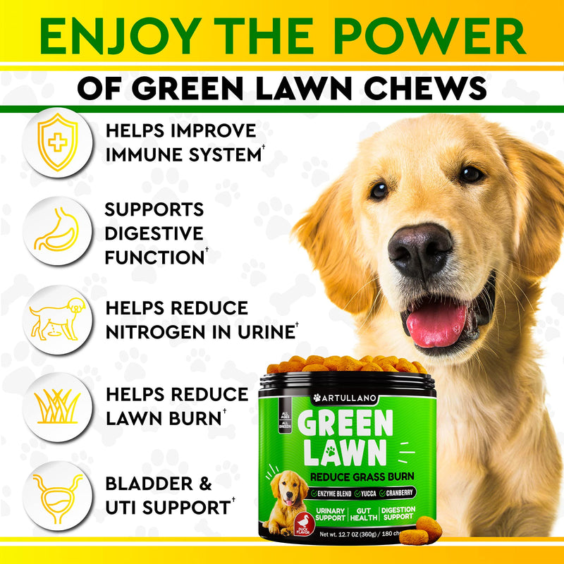 Artullano Grass Burn Spot Chews for Dogs - Dog Pee Lawn Spot Saver Caused by Dog Urine - Grass Treatment Rocks - Cranberry + Digestive Enzymes - Dog Urine Neutralizer for Lawn - 180 Treats - PawsPlanet Australia