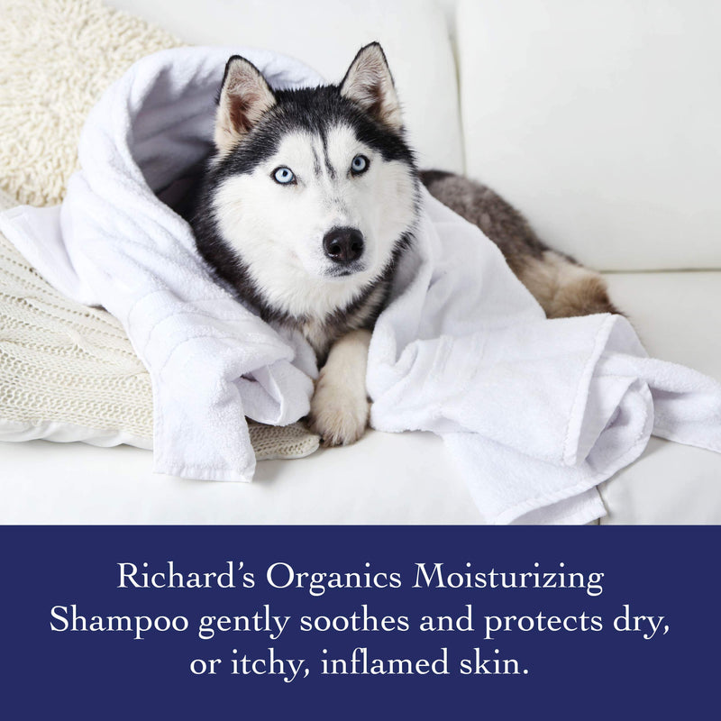 [Australia] - Richard’s Organics Moisturizing Shampoo for Dogs – With Oatmeal, Echinacea, Sweet Almond Oil to Soothe and Protect Dry, Itchy, Inflamed Skin – Relief from Insect Bites and Irritations (12oz) 