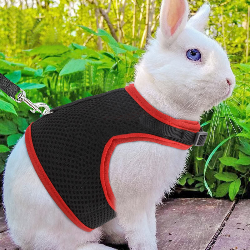 Adjustable Rabbit Harness Leash Soft Harness with Lead for Rabbits Guinea Pigs Harness Rabbit Harness Lead Guinea Pigs Harness Lead Rope for Small Animal Pet Rats Iguana Hamster Ferrets,Size L Black - PawsPlanet Australia