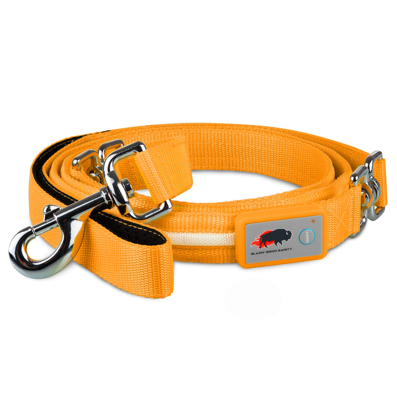 Blazin' Safety LED Dog Leash - USB Rechargeable Flashing Light Lead, 6 Ft, Water Resistant – Avoid Danger (Large, Orange) Large - PawsPlanet Australia