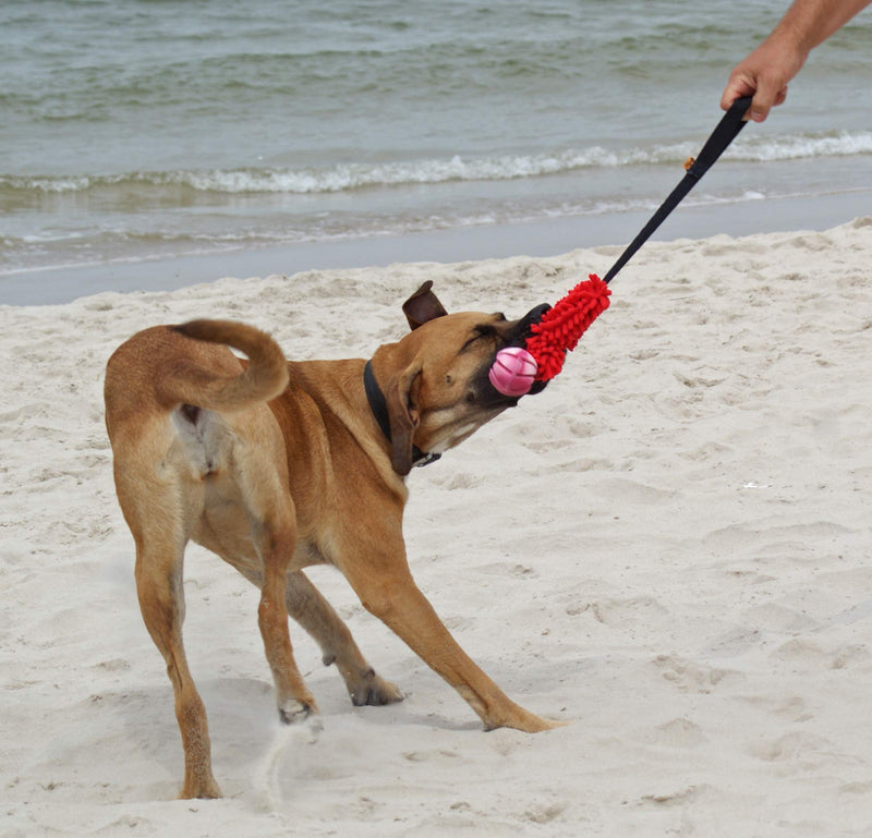 Dingo Agility Mop Bite Tug Floatable Ball Bungee Chaser Red 15588 - PawsPlanet Australia