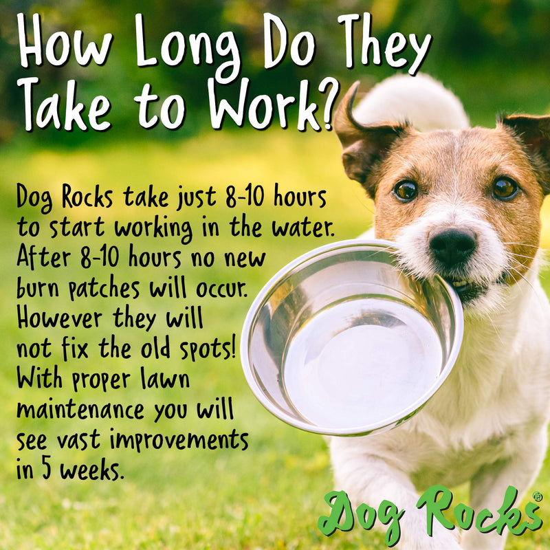 (2 Pack) Dog Rocks Prevent Grass Burn Marks, 4 Month Supply - PawsPlanet Australia