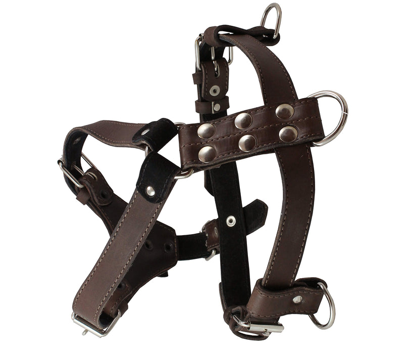 [Australia] - Genuine Leather Dog Harness Medium to Large 25"-32" Chest, 1" Wide Adjustable Straps Brown 