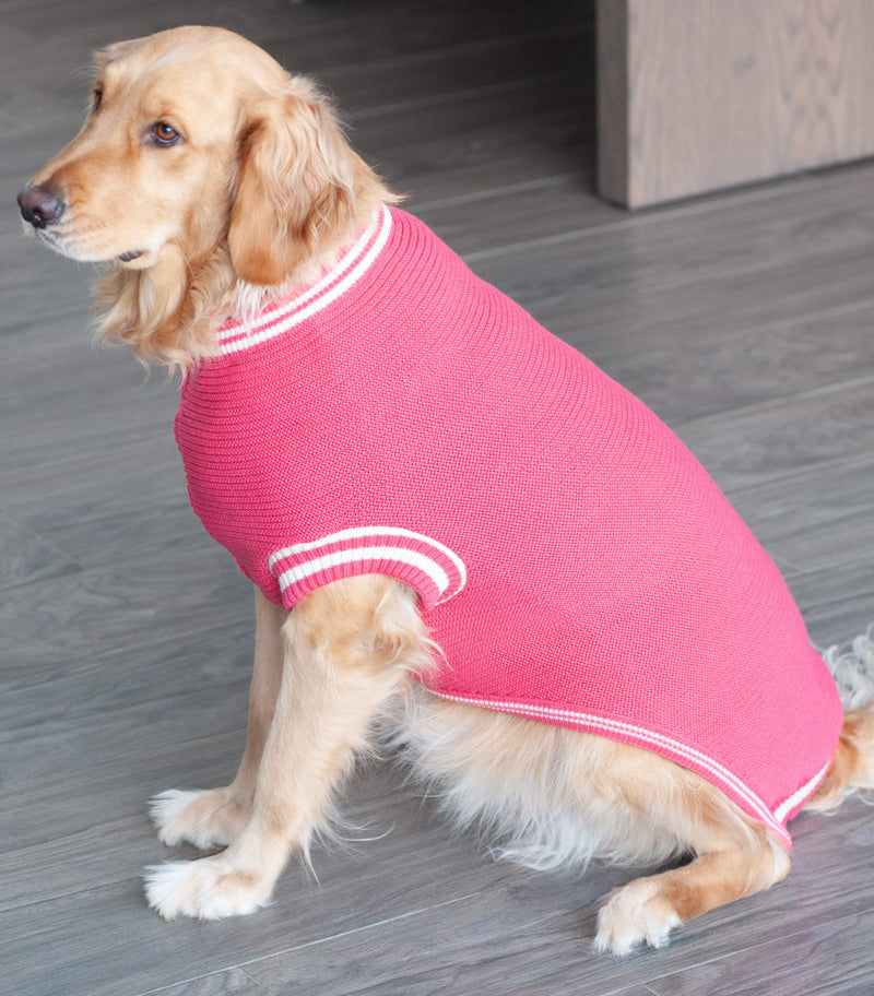 Dog Sweater Knitted, Warm pet Clothes, for Medium and Large Dogs (Medium, Coral) Medium (Chest: 21.2" Length: 18.5") - PawsPlanet Australia