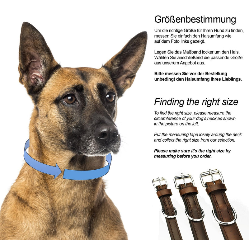 Schnüffelfreunde collar for dogs made of leather, dog collar for large, medium and small dogs, padded leather collar, robust (XL - 46-55cm, brown) XL - 46-55cm - PawsPlanet Australia
