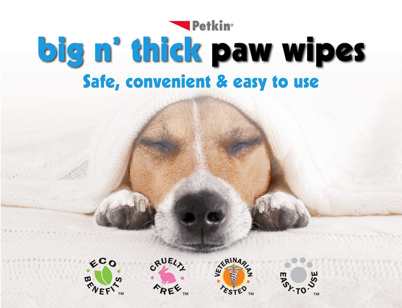 Petkin Big N' Thick Paw Wipes, 100 Orange Scented Wipes - Heavy Duty Pet Paw Wipes Remove Daily Dirt & Odors - Enriched with Soothing Paw Balm - Easy to Use Pet Wipes for Dogs, Cats, Puppies & Kittens - PawsPlanet Australia