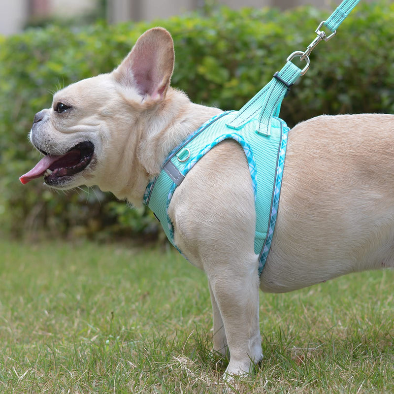 Mercano Soft Mesh Dog Harness and Leash Set, No-Chock Step-in Reflective Breathable Lightweight Easy Walk Escape Proof Vest Harnesses with Safety Buckle for Small Medium Dogs, Cats (Light Green, XXS) XX-Small Light Green - PawsPlanet Australia