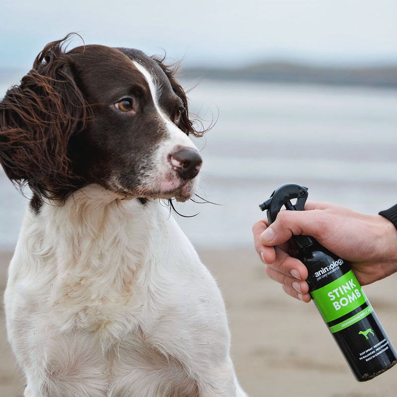 [Australia] - Animology Stink Bomb Refreshing Spray 250Ml 